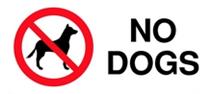 No Dogs